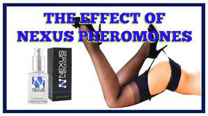 what do Vimax Capsules do? Nexus Pheromones